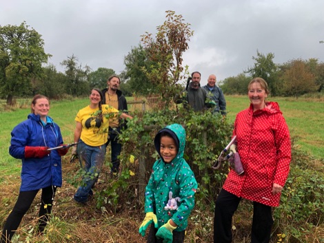 Groups of volunteers clearing trees